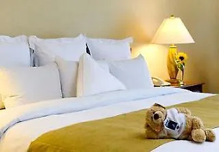 Varandas De Üdülőpark 4*